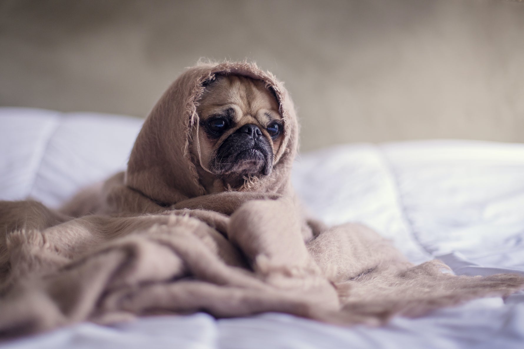 6 Ways to improve your mood this Blue Monday